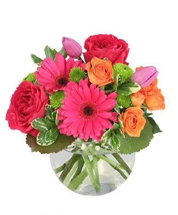 Bold Blooms