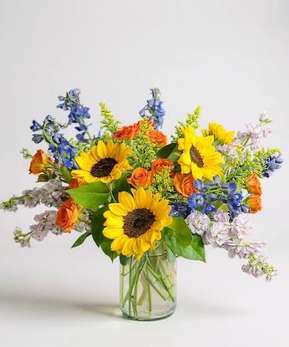 Radiant Blooms